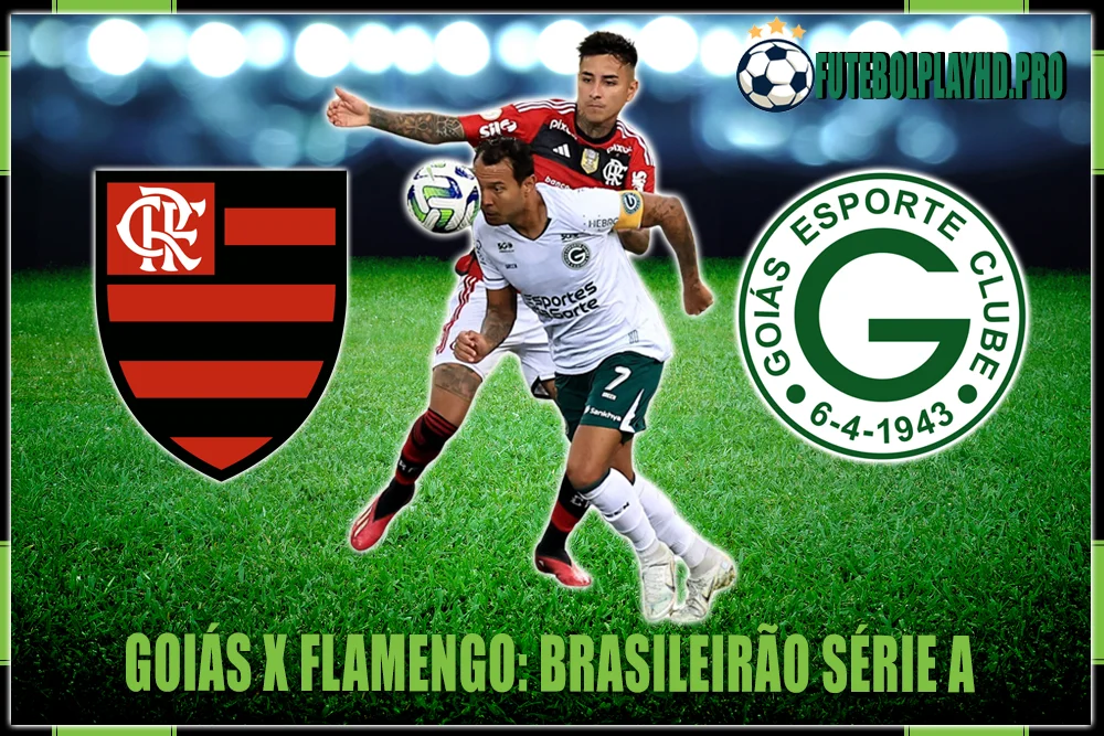 Bandeira do jogo de futebol GOIAS x FLAMENGO pelo Campeonato Brasileiro Série A no futebol play hdd